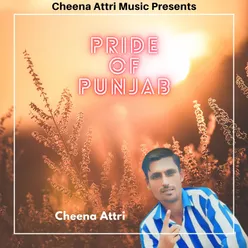 Pride of Punjab